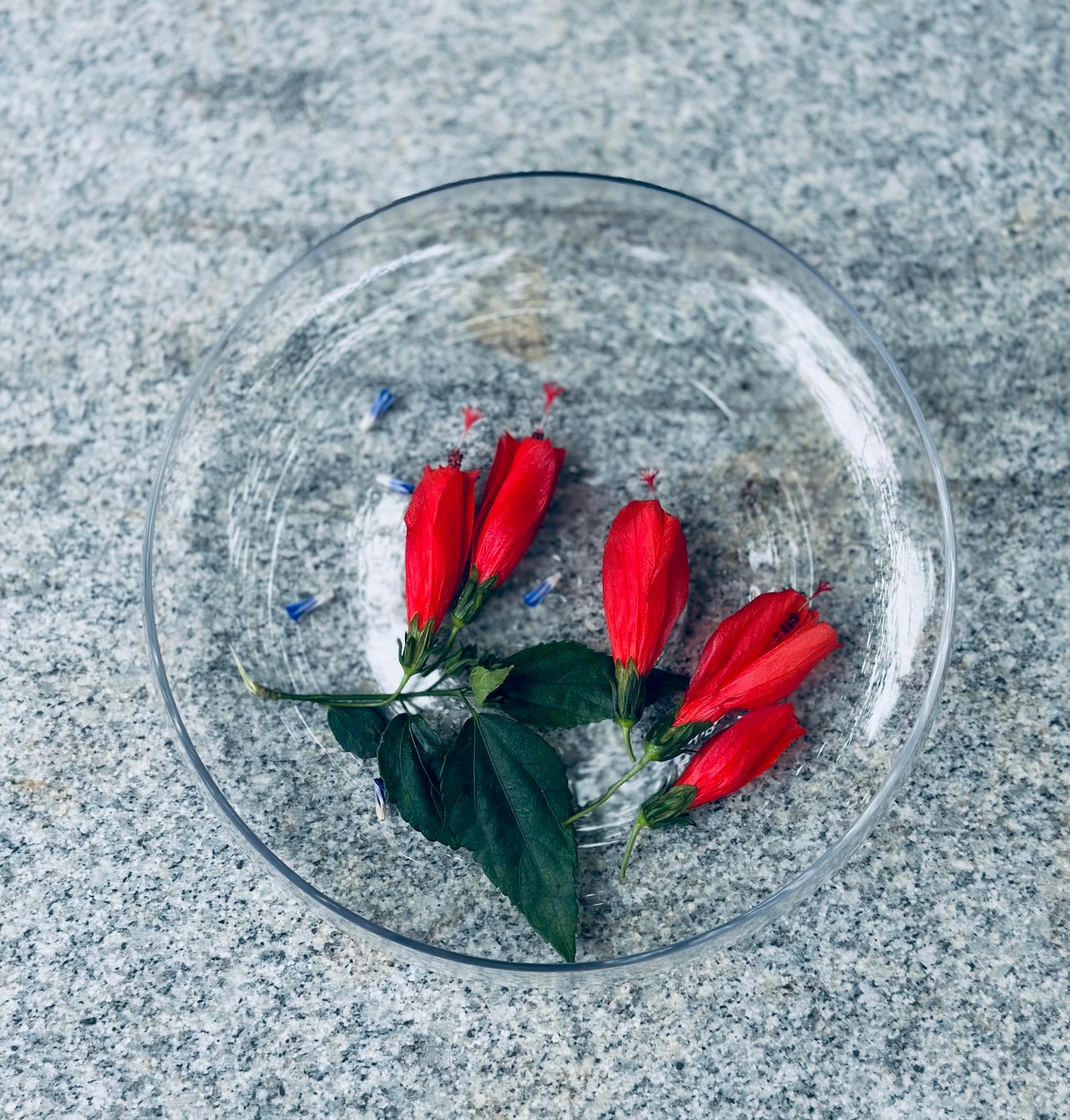 Chatsworth Collection Handblown Glass Bowl – 10 in
