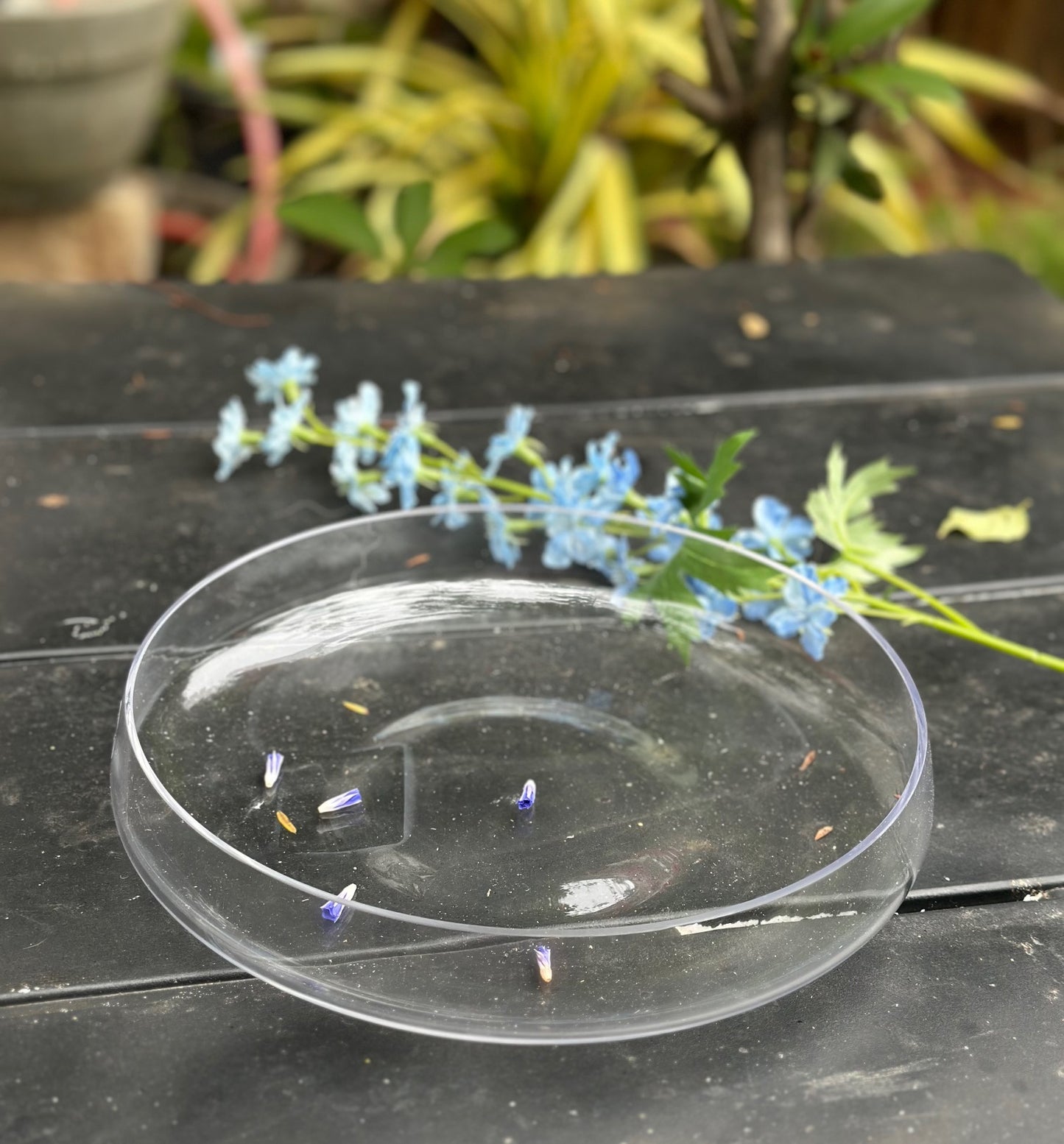 Chatsworth Collection Handblown Glass Bowl – 10 in