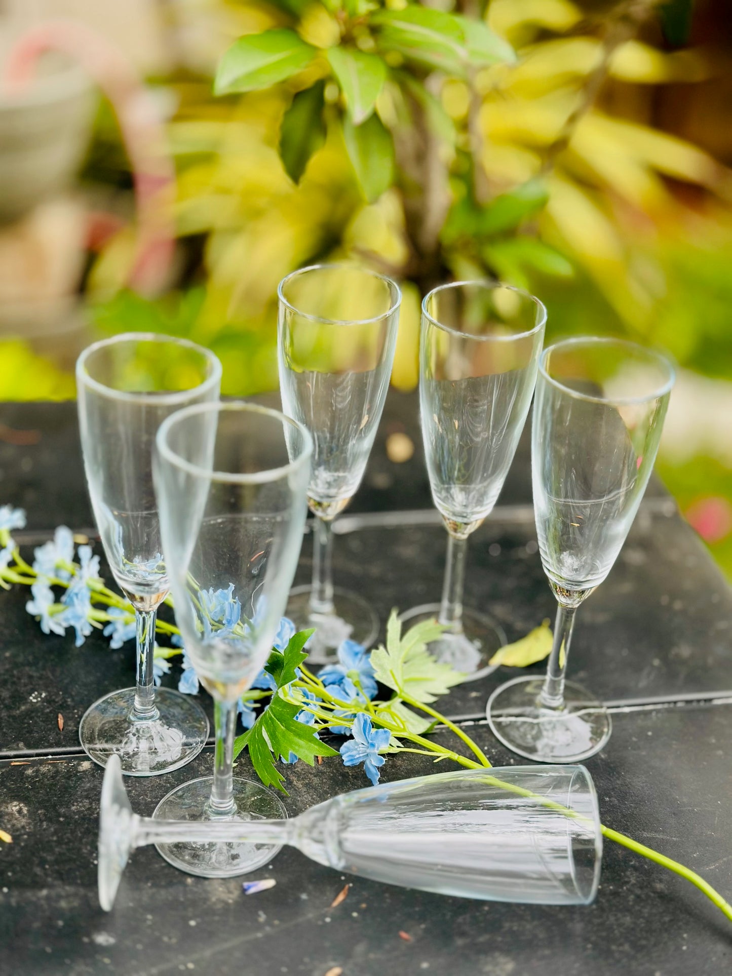 Chatsworth Champagne Glasses - Set of 6