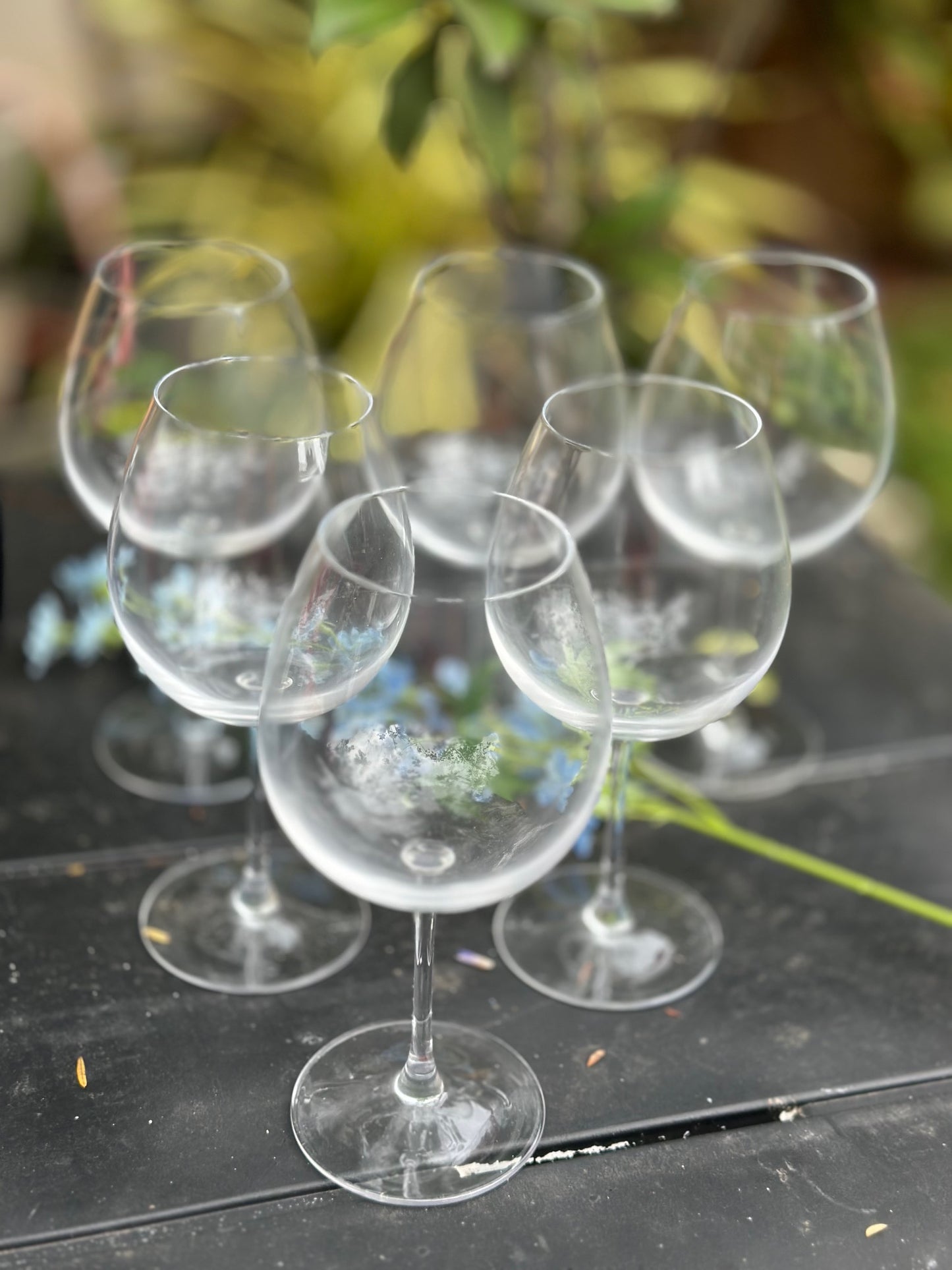 Chatsworth Red Wine Glasses - Set of 6