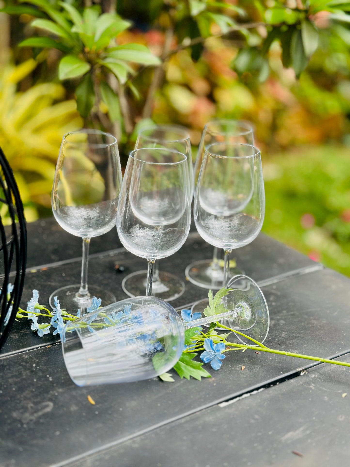 Chatsworth Clear Glass Wine Glasses - Set of 6