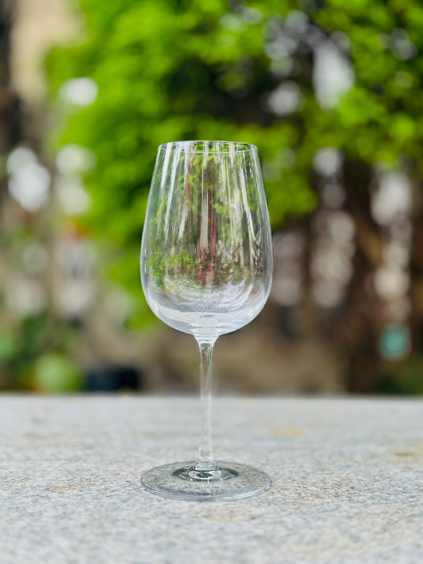 Chatsworth Clear Glass Wine Glasses - Set of 6